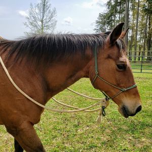 Meet your Posher, Kay